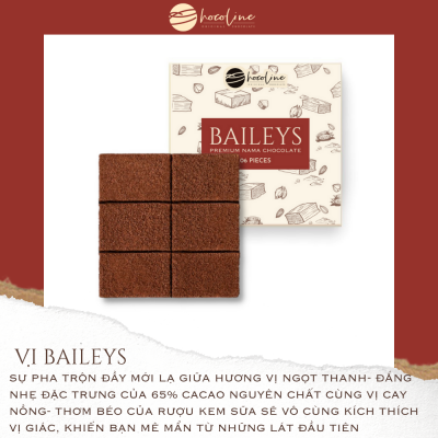 Mini Nama Baileys Chocolate -  Sô cô la tươi vị Rượu Baileys ( Size 6 Viên)